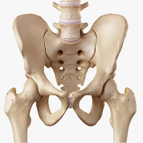 أمراض العظام الخلقیه